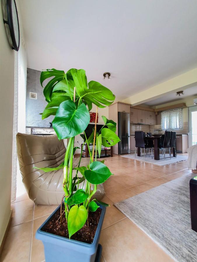 Olympian Two Floor Apartment レプトカリヤ エクステリア 写真